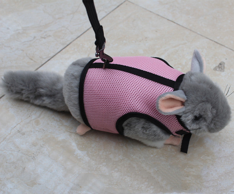 Pet Small Leash Walking Control Rope Gear