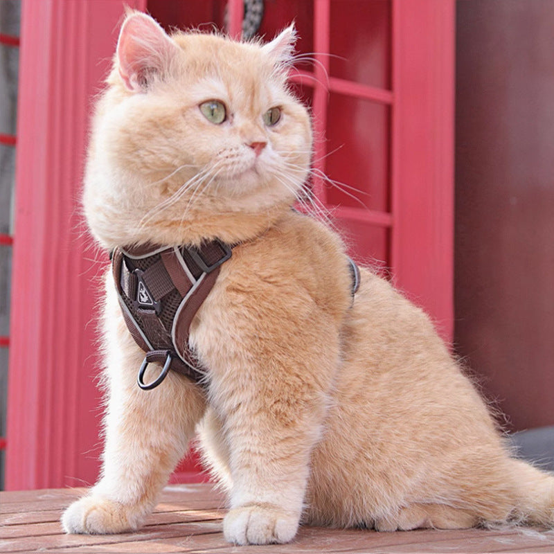 Pet Harness Vest Chest Strap Leash Walking Set