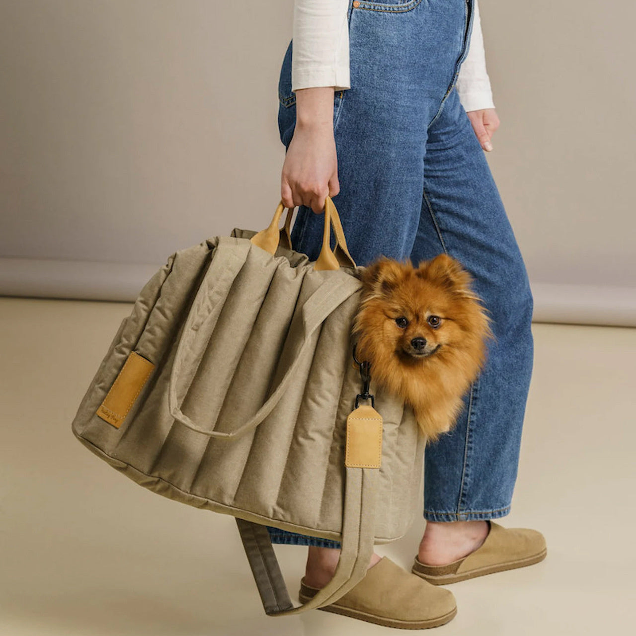 Lightweight Waterproof Portable Pet Carrier Handbag For Travel Use