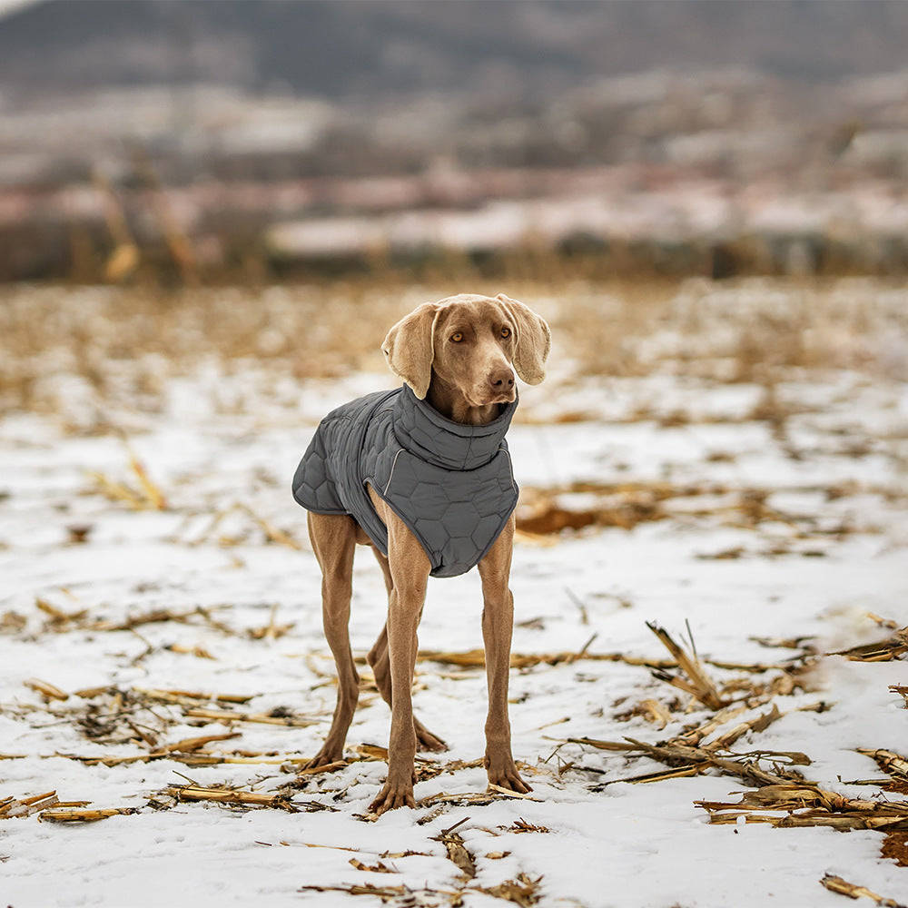 Pet Winter Thickened Clothing Warm Coat Jacket