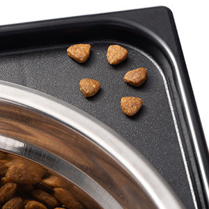 Elevated Pet Feeding Bowl Neck Support Anti Tumble Large Medium Pet Dish