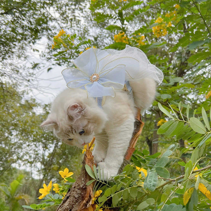 Pet Yarn Leash Universal Cat Puppy Walking Rope