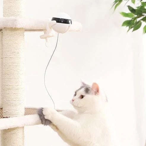 Pet Electronic Motion Interactive Toy