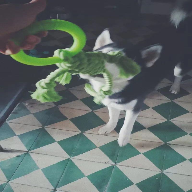 Pet Tear Resistant Chew Bite Toy