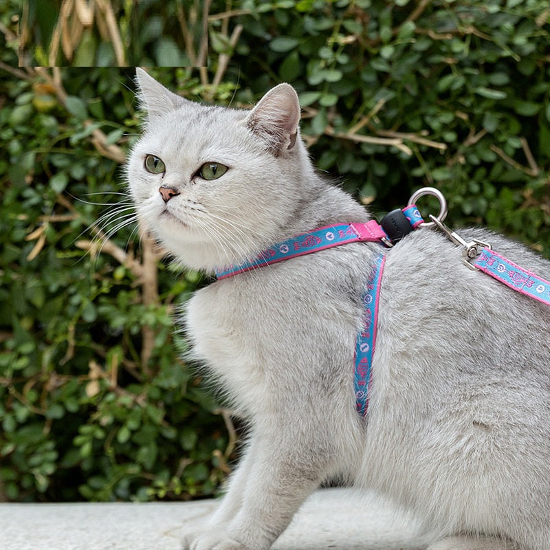 Pet Bell Chest Strap Vest Leash Walking Control Set