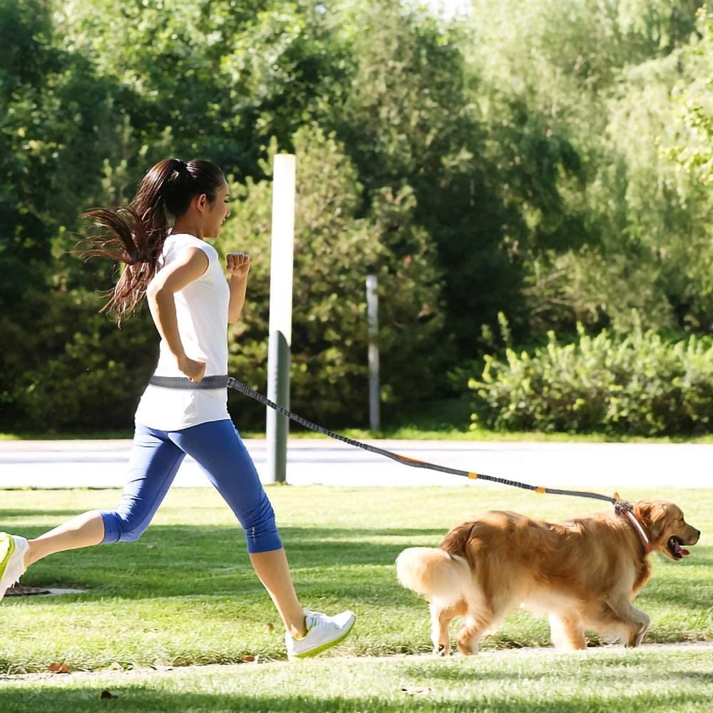 Pet Adjustable Harness Collar Jogging Leash Control Set