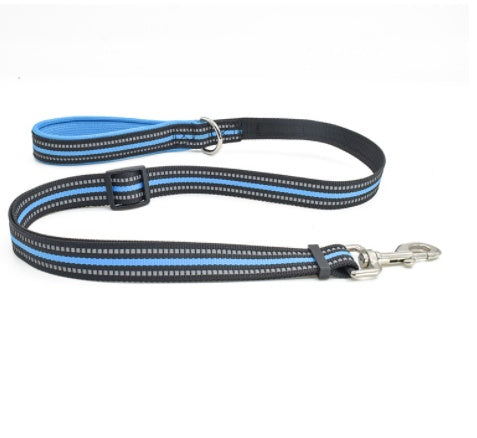 Pet Nylon Retractable Assisted Walking Leash