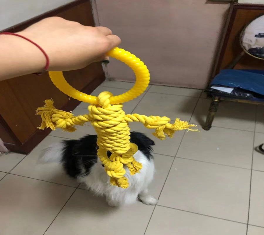 Pet Tear Resistant Chew Bite Toy