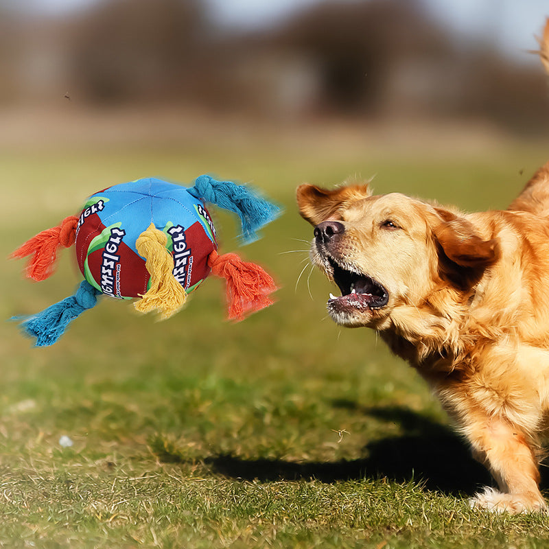 Pet Sniffing Puzzle Molar Treat Hiding Toy Ball
