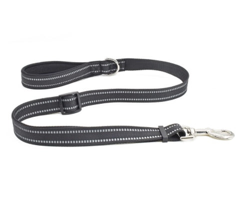 Pet Nylon Retractable Assisted Walking Leash