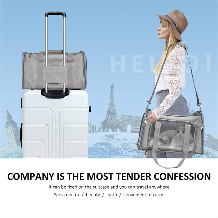 Pet Portable Foldable Carrier Bag Handheld Travel