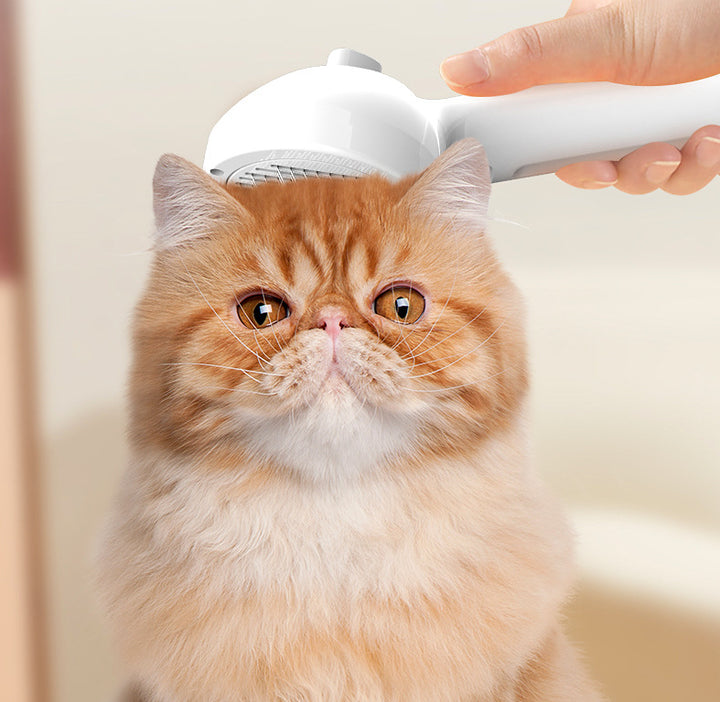 Self Cleaning Pet Grooming Comb With Mist Hair Removal Brush
