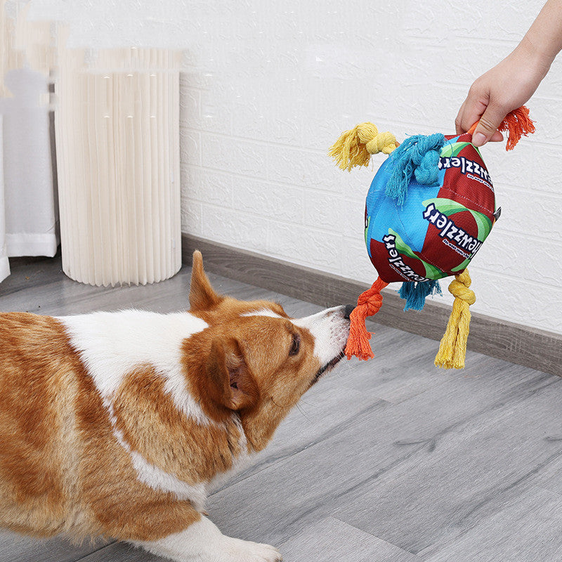 Pet Sniffing Puzzle Molar Treat Hiding Toy Ball