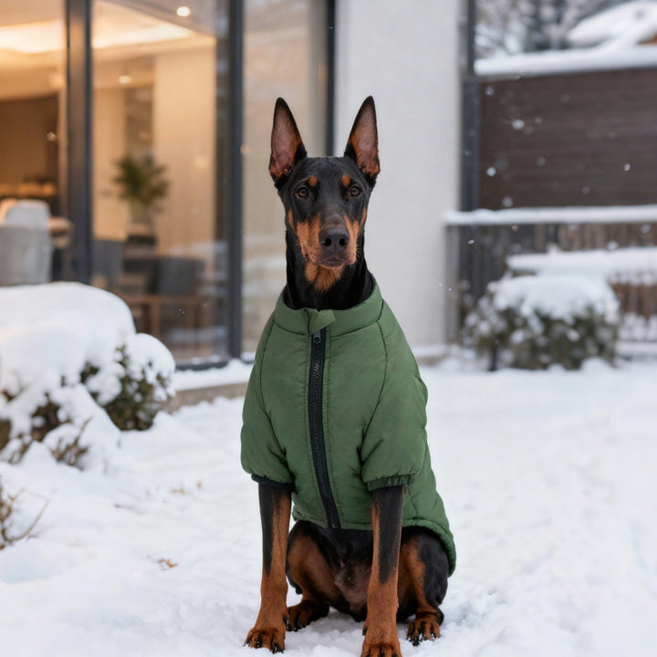 Pet Cotton Two Leg Jacket Warm Clothing Outfit