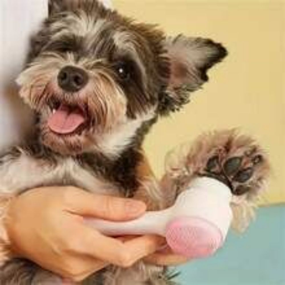 Pet Nylon Paw Brush Gentle Grooming Massage Tool