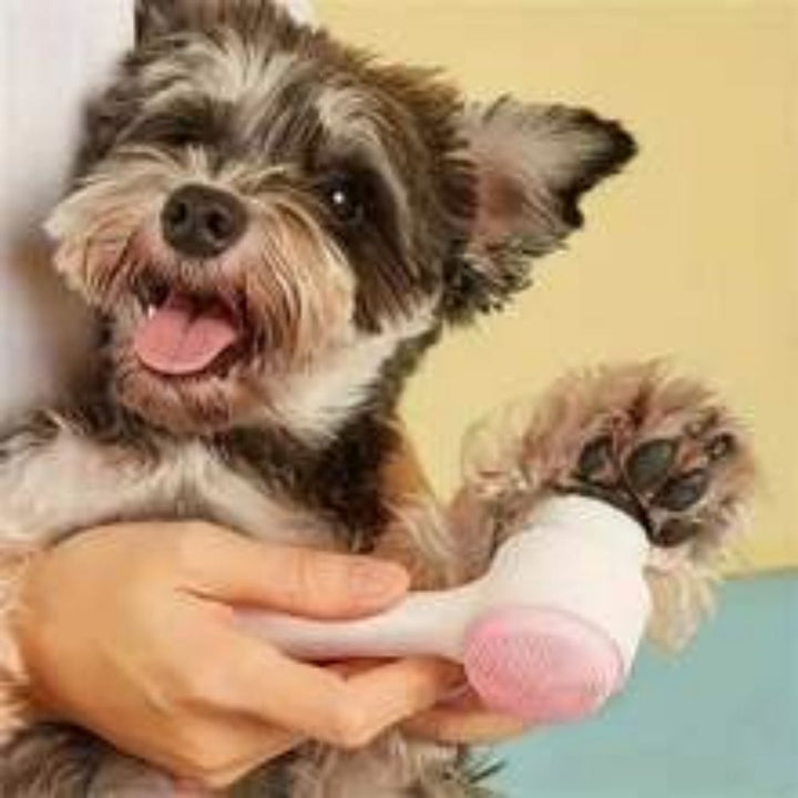 Pet Nylon Paw Brush Gentle Grooming Massage Tool