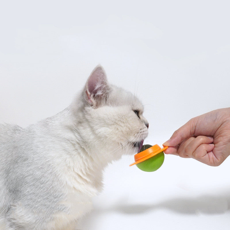 Pet Suction Cup Interactive Molar Toy