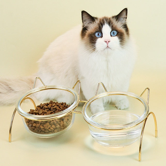 Glass Pet Feeding Bowl Metal Rack Food And Water Dish Set