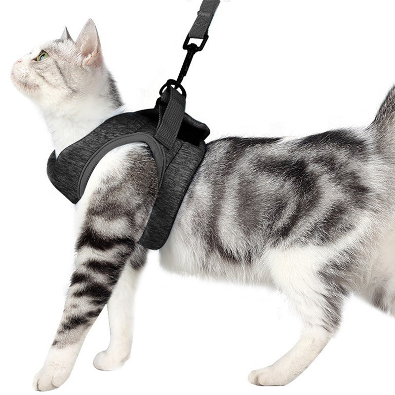 Lightweight Breathable Pet Leash Chest Strap Rope For Comfort
