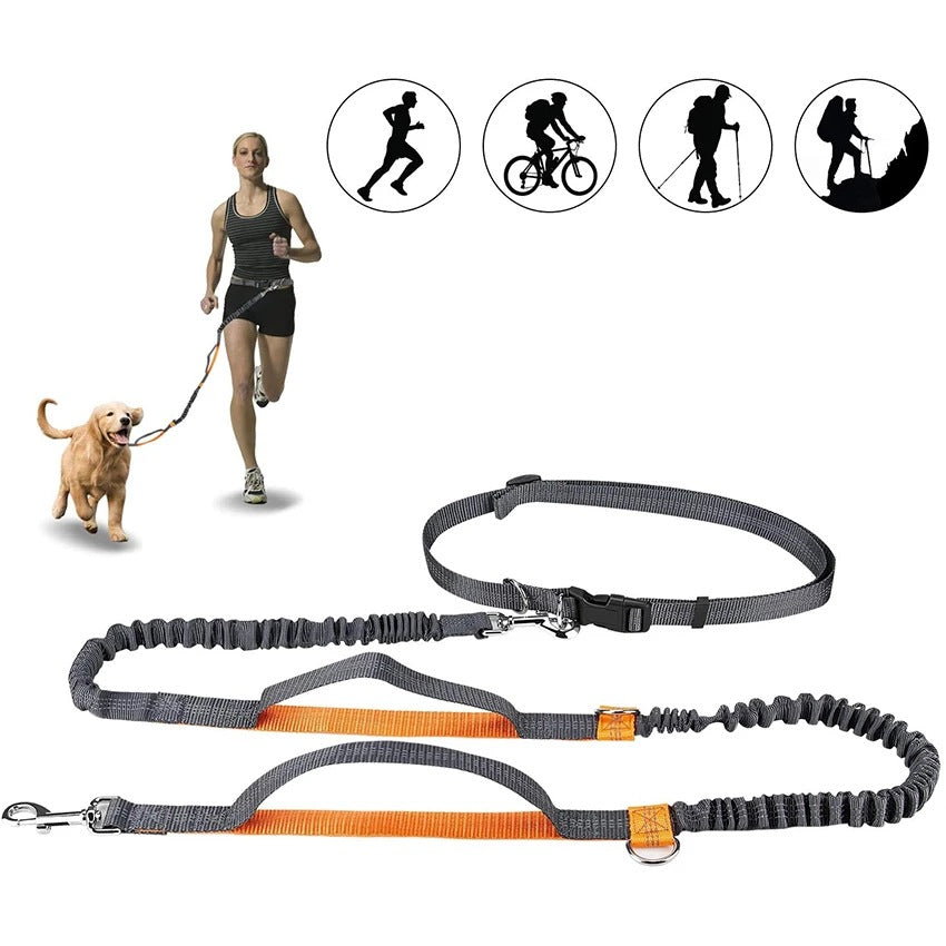 Pet Adjustable Harness Collar Jogging Leash Control Set