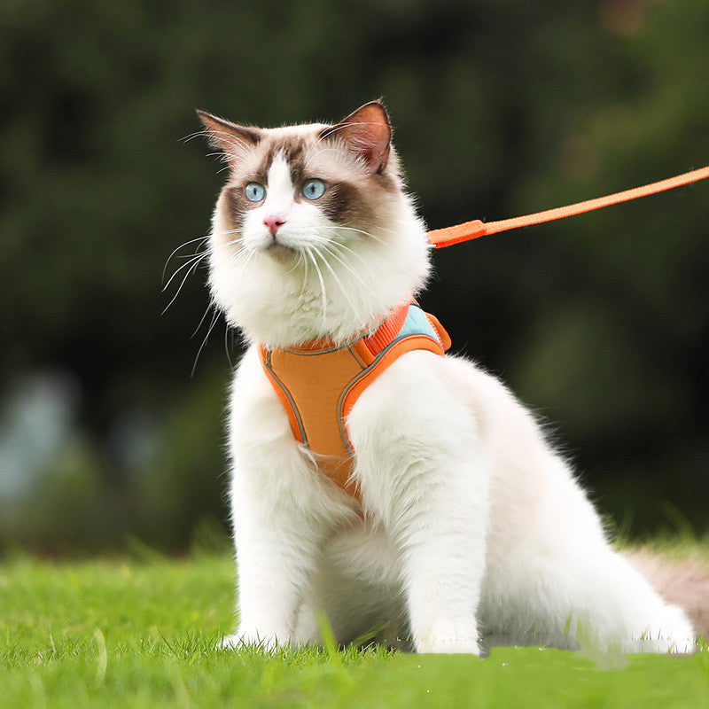 Pet Anti Escape Reflective Harness Leash Control Set