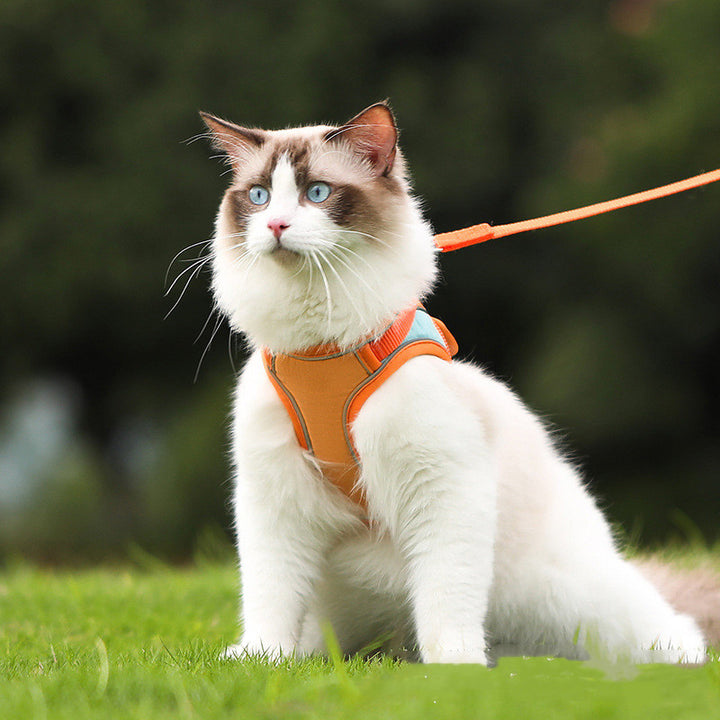 Pet Anti Escape Reflective Harness Leash Control Set
