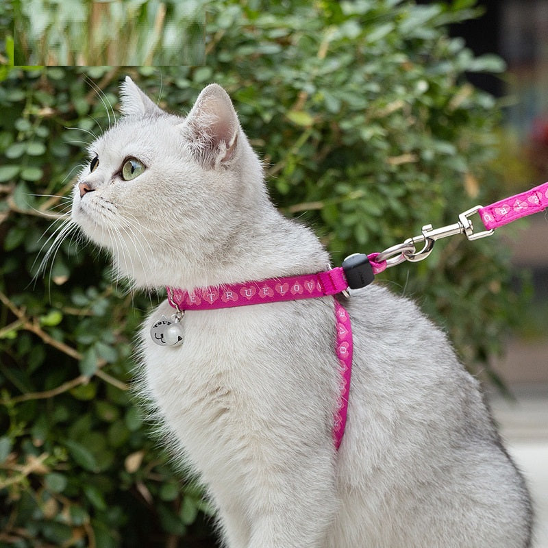 Pet Bell Chest Strap Vest Leash Walking Control Set