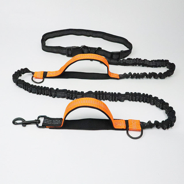 Pet Adjustable Harness Collar Jogging Leash Control Set